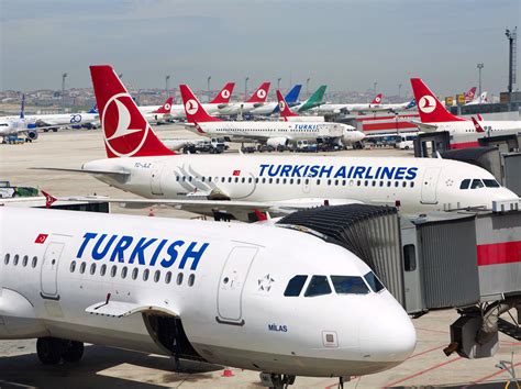 turkis airline busnis luga wate.